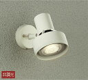 大光電機(DAIKO) DOL-3765XW スポットライト 屋外 LED アウトドアライト ランプ別売 非調光 防雨形 オフホワイト