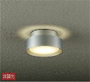 大光電機(DAIKO) DWP-37638 アウトドアライト 軒下シーリング ランプ付 非調光 電球色 防雨形 シルバー