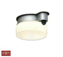 大光電機(DAIKO) DWP-38850Y アウトドアライト 軒下シーリング LED内蔵 非調光 電球色 人感センサー マルチタイプ 防雨形 シルバー