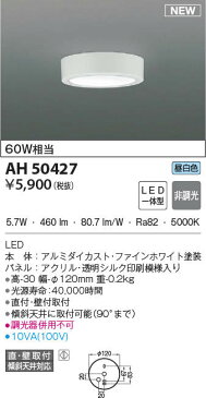 【最大44倍スーパーセール】コイズミ照明　AH50427　小型シーリング LED一体型 非調光 昼白色 直・壁取付 傾斜天井対応 ホワイト
