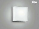 コイズミ照明 AU50615 アウトドアライト LED一体型 非調光 昼白色 防雨型 化粧ネジ式 シルバー