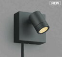 コイズミ照明 AU92268 アウトドアライト LED一体型 非調光 電球色 広角 防雨型 コネクタ付 サテンブラック