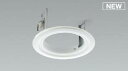 コイズミ照明 AE52187E リニューアルプレート Φ125mm(専用タイプ)既存天井埋込穴径 ファインホワイト