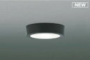 コイズミ照明 AH52292 薄型シーリングライト LED一体型 直・壁取付 傾斜天井対応 非調光 温白色 黒色