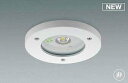 コイズミ照明 AR50453Y 非常用照明器具 埋込穴φ150 非調光 LED一体型 昼白色 防雨・防湿型 ホワイト