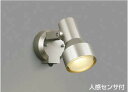 コイズミ照明 AU40624L スポットライト 屋外 人感センサー ライト LED アウトドアスポットライト タイマー付ON-OFFタイプ 白熱球100W相当 ...