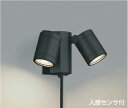 コイズミ照明 AU43205L スポットライト 屋外 人感センサー ライト LED アウトドアスポットライト タイマー付ON-OFF 白熱球60W×2灯相当 LED一体型 電球色 防雨 黒
