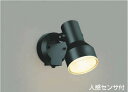 コイズミ照明 AU45239L スポットライト 屋外 人感センサー ライト LED アウトドアスポットライト タイマー付ON-OFFタイプ LED一体型 電球色...