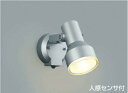 コイズミ照明 AU45240L スポットライト 屋外 人感センサー ライト LED アウトドアスポットライト タイマー付ON-OFFタイプ LED一体型 電球色...