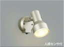 コイズミ照明 AU45241L スポットライト 屋外 人感センサー ライト LED アウトドアスポットライト タイマー付ON-OFFタイプ LED一体型 電球色...