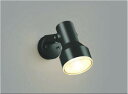 コイズミ照明 AU45243L スポットライト 屋外 LED アウトドアスポットライト LED一体型 電球色 防雨型 ブラック