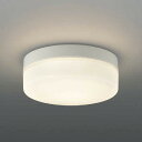 コイズミ照明 AU49375L LED防雨シーリング LED一体型 電球色 直付・壁付 FCL30W相当 ホワイト