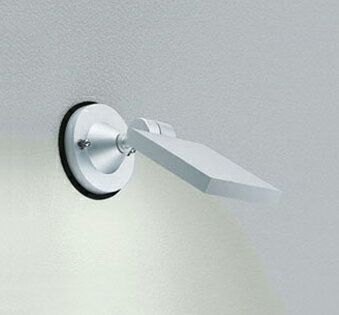 オーデリック　OG254124　スポットライト 屋外用 LED エクステリアスポットライト LED 電球色