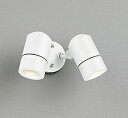 オーデリック OG254581 スポットライト 屋外用 LED エクステリアスポットライト LED 防雨型 オフホワイト ランプ別売