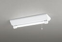オーデリック OR037007P1 非常灯・誘導灯 LEDランプ 昼白色 直管形LED 電池内蔵形 防雨・防湿型