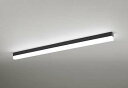 オーデリック OL291576R2B(LED光源ユニット別梱) ベースライト 非調光 LEDユニット交換型 昼白色 直付型 ブラック