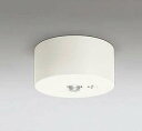 オーデリック OR036109P2 非常灯・誘導灯 リモコン別売 LED一体型 昼白色高天井用(~10m) ホワイト