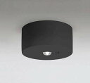 オーデリック OR036309K1 非常灯・誘導灯 リモコン別売 LED一体型 昼白色低天井・小空間用(~3m) ブラック