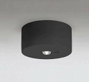 オーデリック OR036319K1 非常灯・誘導灯 リモコン別売 LED一体型 昼白色低天井用(~3m) ブラック