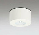 オーデリック OR036346P1 非常灯・誘導灯 リモコン別売 LED一体型 昼白色 防雨・防湿型 低天井用(~3m) ホワイト