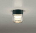 オーデリック OG264047LR(ランプ別梱) エクステリア ポーチライト 非調光 LEDランプ 電球色 防雨・防湿型 黒色