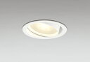 オーデリック OD361555MLR(ランプ別梱) ダウンライト 埋込穴φ100 非調光 LEDランプ 電球色 高気密SB 高演色LED ユニバーサル オフホワイト