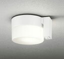 オーデリック OG254989LCR(ランプ別梱) エクステリア ポーチライト LEDランプ 電球色 高演色LED 人感センサー付 防雨型 オフホワイト
