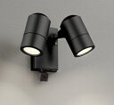 オーデリック OG264115 エクステリア スポットライト ランプ別売 LEDランプ 人検知カメラ付 防雨型 黒色サテン