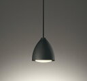 オーデリック OP252955LR(ランプ別梱) ペンダントライト 非調光 LEDランプ 電球色 高演色LED フレンジタイプ 鉄黒色