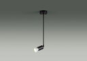 東芝ライテック LEDS88021F スポットライト フランジタイプ LED 調光可能 (対応ランプ・調光器別売) LEDスポットライト 天井取付専用 ブラック ランプ別売