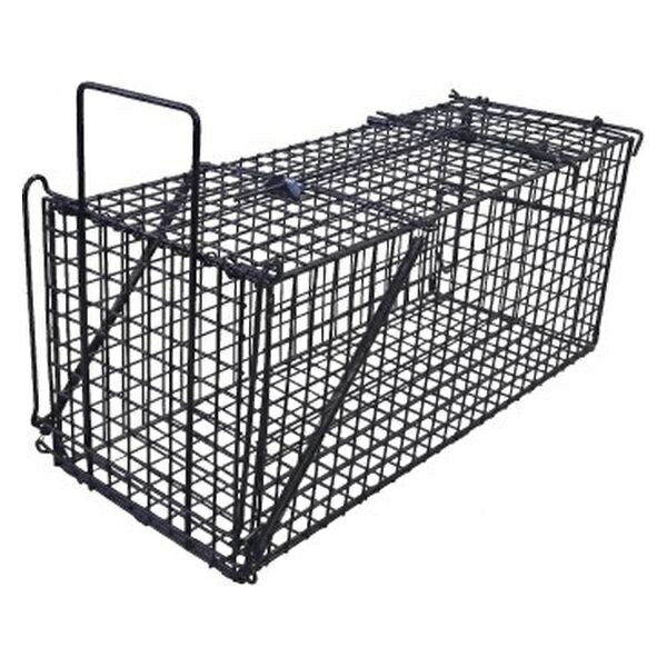 シンセイ/SHINSEI TA-26 アニマルキャッチャーM 釣り餌式箱罠 アライグマ アナグマ ハクビシン♪