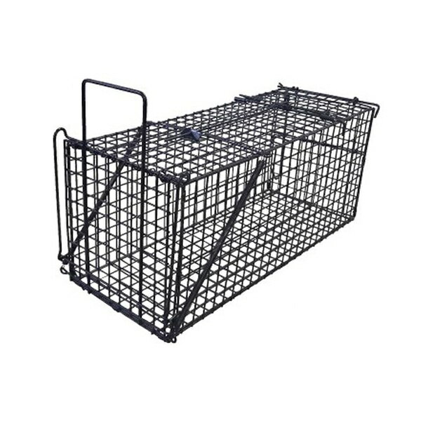 シンセイ/SHINSEI TA-36 アニマルキャッチャーL 釣り餌式箱罠 アライグマ アナグマ ハクビシン♪