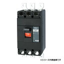 テンパール工業 B402EA25S 配線用遮断器 経済タイプ Eシリーズ 400AF 2P2E 100-100/200-200-415V 250A 裏面形 ※受...