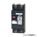 テンパール工業 B52MEC320 配線用遮断器 電気温水器用 50AF 2P2E 100-100/200-200V 32A 電気温水器370Lから460L取替...