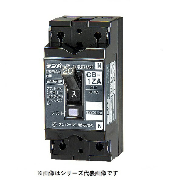 テンパール工業　1ZA3030　漏電遮断器 小型漏電遮断器 OC付 30AF 2P1E 100V 30A 30mA [￡￡]