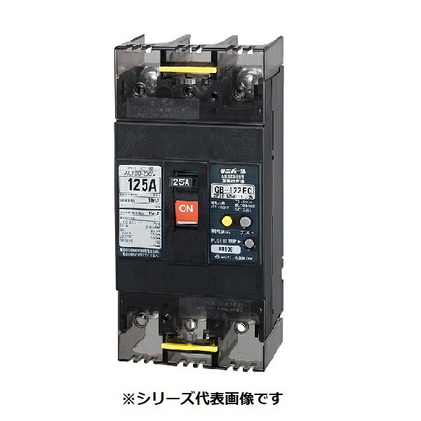 テンパール工業　122EC1230　漏電遮断器 経済タイプ Eシリーズ OC付 表面形 125AF 2P2E 100-200V 125A 30mA [￡￡]