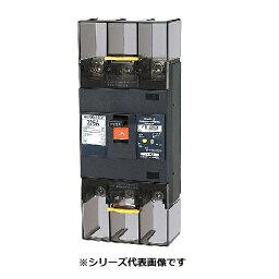 テンパール工業　223EA12W2S　漏電遮断器 経済タイプ Eシリーズ OC付 裏面形 225AF 3P3E 200-415V 125A 100/200/500mA ※受注品 [§￡￡]