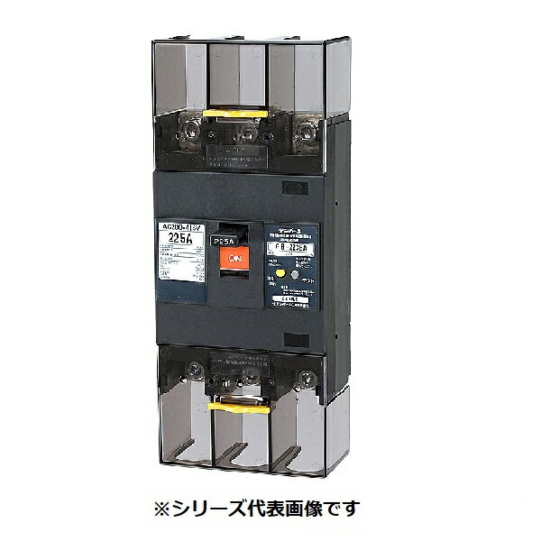 テンパール工業　223EA2030　漏電遮断器 経済タイプ Eシリーズ OC付 表面形 225AF 3P3E 200-415V 200A 30mA [￡￡]