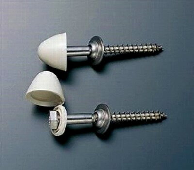 トイレ関連 TOTO　T53DN　大便器用セット器具 化粧キャップ付木ねじ 2本入り [■]