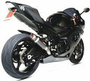 GSX-R1000 05-06【SCORPION】（スコーピオン）RP-1 GPスリップオン カーボン