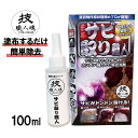  技・職人魂 サビ取り職人 100ml|さび 落とし サビ 取り錆び サビ取り さび落とし さび取り剤 錆落とし さび落とし 浴室 洗面所 洗面台 自転車 ホイール 車 バイク 工具 水道管 金属 職人魂 中性 業務用 業務用洗剤 掃除 大掃除