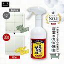 コパ・コーポレーション スパイダージェル カビ取り剤 500ml