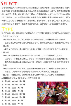 【即納！タイプが選べる！！】業界初！？祈祷済みエケコ人形/500円以下のミニチュア2つ無料カスタマイズ！■世界仰天ニュースで紹介されたボリビア製/効果抜群！本場ラパス祈願用■エケコ/エケッコ人形■願掛け■身長18〜20cm■