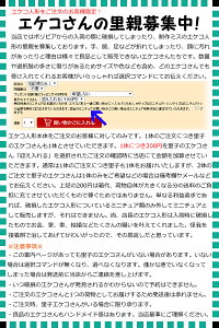 ■祈祷済みエケコ人形/500円以下のミニチュア1つ無料プレゼント!■世界仰天ニュースで紹介されたボリビア製/効果抜群!本場ラパス祈願用■エケコ/エケッコ人形■身長15cm