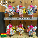 《選べるエケコ/Mサイズ》選べるから愛着たっぷり!/画像のエケコ人形を即納/紙幣ミニチュアプレゼント中!■祈祷済み■TVで紹介されたボリビア製■婚活/結婚/恋愛...