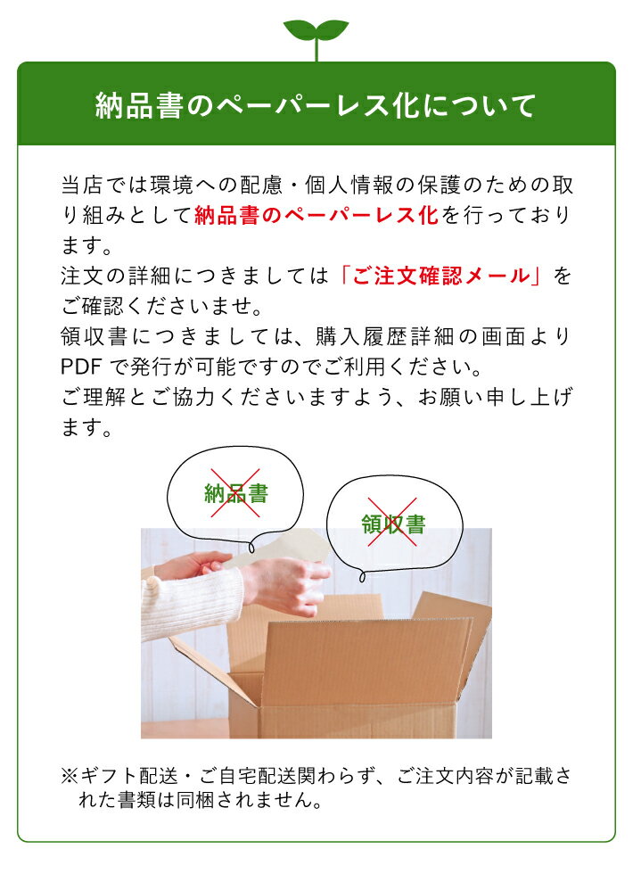 スペシャルドライフルーツティー6種BOXギフトセットフルーツティードライフルーツ無添加砂糖不使用ティーバッグハーブティー紅茶COPECOコペコ