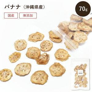 【6/4~6/11まで10%OFF】 ドライフルーツ バナナ 70g 無添加 砂糖不使用 ノンフライ 国産 沖縄 COPECO コペコ