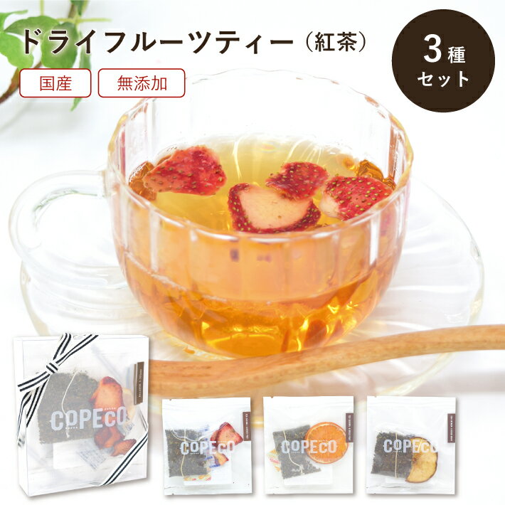 紅茶（2000円程度） ドライフルーツティー （ 紅茶 ） 3種 ギフト セット 国産 砂糖不使用 無添加 フルーツティー ドライフルーツ ティーバッグ 狭山紅茶 COPECO コペコ