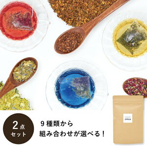 選べる ティーバッグ 20個入り 2点 セット 無添加 ハーブティー 紅茶 ルイボス バタフライピー COPECO コペコ