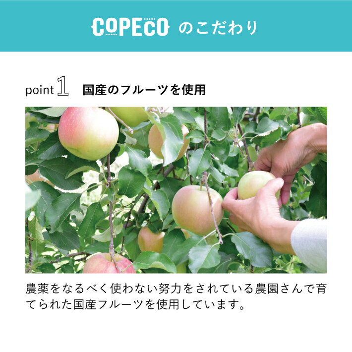 夏季限定スペシャルドライフルーツティー8点セットフルーツティードライフルーツ無添加砂糖不使用ティーバッグハーブティーCOPECOコペコ